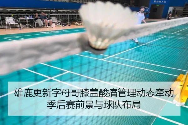 雄鹿更新字母哥膝盖酸痛管理动态牵动季后赛前景与球队布局